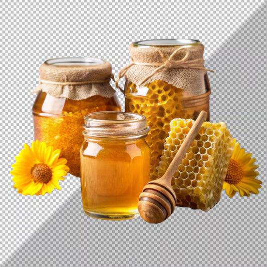 Discover the Power of Natural Herbs